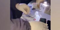 Устроившего погоню и ДТП с полицейской машиной сбытчика марихуаны задержали в Крымувидео - Комсомольская правда