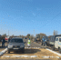 Условный падеж овец из-за сибирской язвы выявили в ЛПХ под Волгоградом - Газета Городские вести