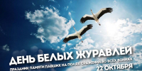 Вавиловцы приняли участие в патриотической акции «День белых журавлей» - Вавиловский университет