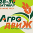 Изображение: организаторы - InformPskov.Ru