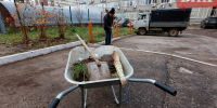 Знакомство на обязательных работах: сыктывкарец простил возлюбленной кражу денег и телефона - Bnkomi.Ru