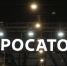 «Росатом» допустил полную остановку проекта АЭС «Пакш-2» - Spbdnevnik.ru