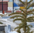 В Магадане -1, -5°C, ветер северный - Газета Магаданская правда