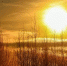 Картинка - Regions.Ru