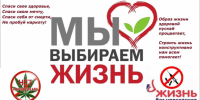 Здоровый выбор - сильный округ - Бикинский район