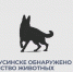 В Минусинске у домашней собаки обнаружено бешенство. - Администрация