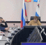 Создание на Камчатке системы спасения морских млекопитающих обсудили на Камчатке - Правительство Камчатского края