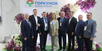В Алтайском крае запустили первый в России комплекс по выращиванию хризантем - Законодательное Собрание