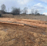 Житель Приангарья незаконно напилили деревь на 700 тысяч - ИА Байкал-Daily