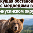 Оперативная информация на 23 октября: ситуация с медведями в Минусинском округе. - Администрация