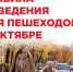 Октябрь — месяц красивый, но на дороге он становится коварным. - Колпашевский район