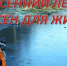 Первый тонкий лёд! - Здвинский район