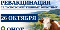 Важная информация для владельцев сельскохозяйственных животных. - Администрация Черемховского района