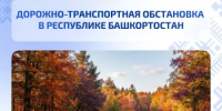 Дорожно-транспортная обстановка в Республике Башкортостан - Министерство транспорта и дорожного хозяйства