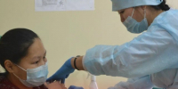 В Туве против гриппа вакцинированы более 90 тысяч человек - ИА Тува-Онлайн