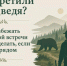 Как избежать встречи с медведем в Приморье и что делать, если он рядом.. - Кавалеровский муниципальный округ