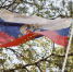 Россия готова возобновить трёхсторонние переговоры по Украине - МОЁ! Online