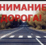 В период с 23 по 25 октября 2026 года на  территории Адамовского района будет проведено профилактическое мероприятие «Дорога без ДТП» - ОМВД Адамовского района 
