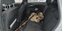 На севере Приамурья охотнадзор пресек две попытки браконьерства - gtrkamur.ru - ГТРК Амур