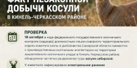Выявлен факт незаконной добычи косули в Кинель‑Черкасском районе - Департамент охоты и рыболовства