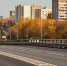 Мэр Москвы: Новая улица увековечила память о вкладе железнодорожников в Победу - Правительство Москвы