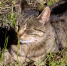 Фото donnews.ru - DonNews.Ru