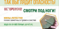 Так выглядит опасность!. - Администрация МО Курчатов