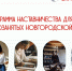 Новгородские самозанятые могут подать заявку на программу «Самолёт» - ИА Великий Новгород.ру