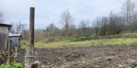 Россельхознадзором пермский предприниматель привлечен к ответственности за нарушения при содержании крупного рогатого скота - Россельхознадзор