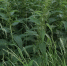 background - Cher-Poisk.Ru