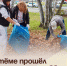В Артёме прошёл общегородской субботник. - Администрация Артёмовского городского округа