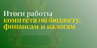 Комитета по бюджету, финансам и налогам подвел итоги работы - Городская Дума