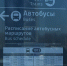 Один автобус - разные расписания. Саратовский блогер рассказала о путанице в "Гагарине" - ИА Взгляд-инфо