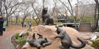 В парке «Мемориал Победы» в Улан-Удэ открыли скульптуру снежных барсов - Газета Номер один
