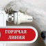 Горячая линия.. - Администрация г. Вятские Поляны