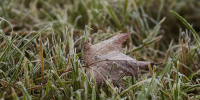 Фото: ПАИ - InformPskov.Ru