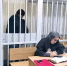 В Подмосковье вынесли приговор по делу о незаконном обороте наркотиков - MosRegToday.Ru