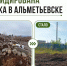 В Альметьевске ликвидирована свалка площадью более 800 кв. м - Министерство экологии