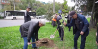 В Махачкале высадили 30 кленов в память о ликвидаторах Чернобыльской аварии - РИА Дагестан