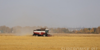 Омская область наращивает экспорт аграрной продукции в Китай - СуперОмск