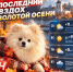 Такого тепла в Калуге не было более века - Телерадиокомпания Ника