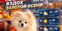 Такого тепла в Калуге не было более века - Телерадиокомпания Ника