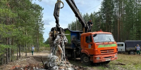 Фото: министерство природных ресурсов и ЛПК Архангельской области - Сетевое издание Коноша29