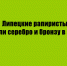 В Воронеже липецкие спортсмены, выступавшие в дисциплине рапира, взяли серебряную и бронзовую медали - Народное слово