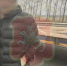 1c027c9e-1c11-4102-8bd1-c91d793ca17c - УМВД по Казани 