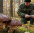 Картинка - Regions.Ru