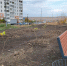 В Саратове в парке - Общественное мнение