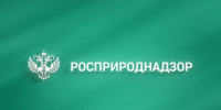 Геопортал Росприроднадзора: все как на ладони. - Администрация МО Курчатов