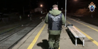 Электричка сбила женщину в Нижегородской области - фото 1 - vGorodeN.Ru