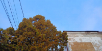 В Калуге временно закрыли небо для полётов - Комсомольская Правда
